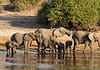 Things to do in Botswana