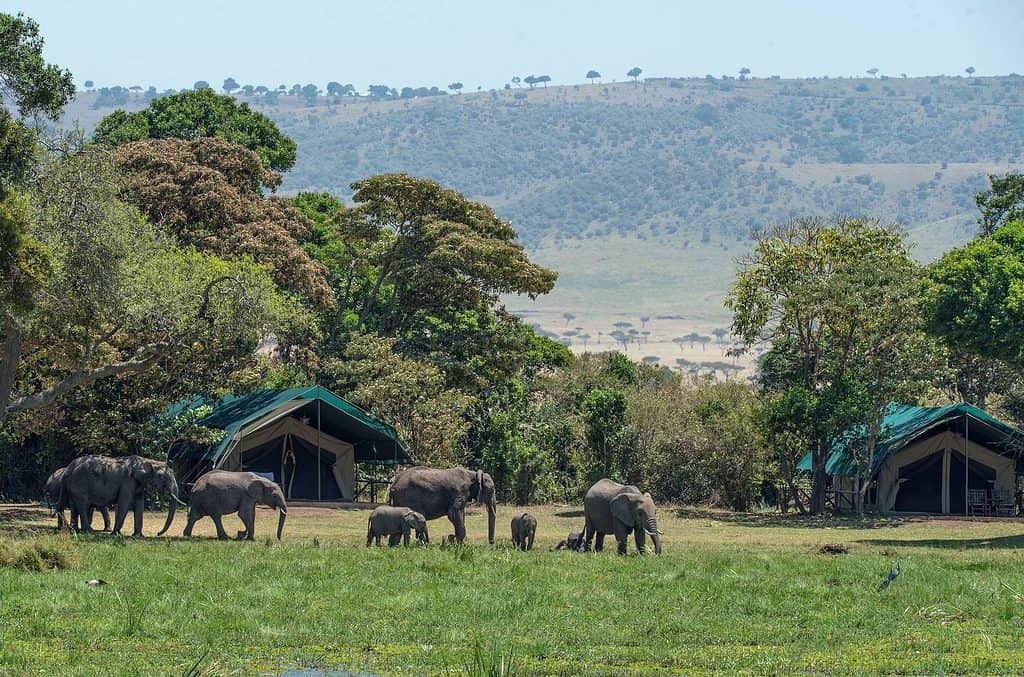 kenya attractions - Kenya Attractions: A Guide to Experiencing Kenya Camping in Kenya