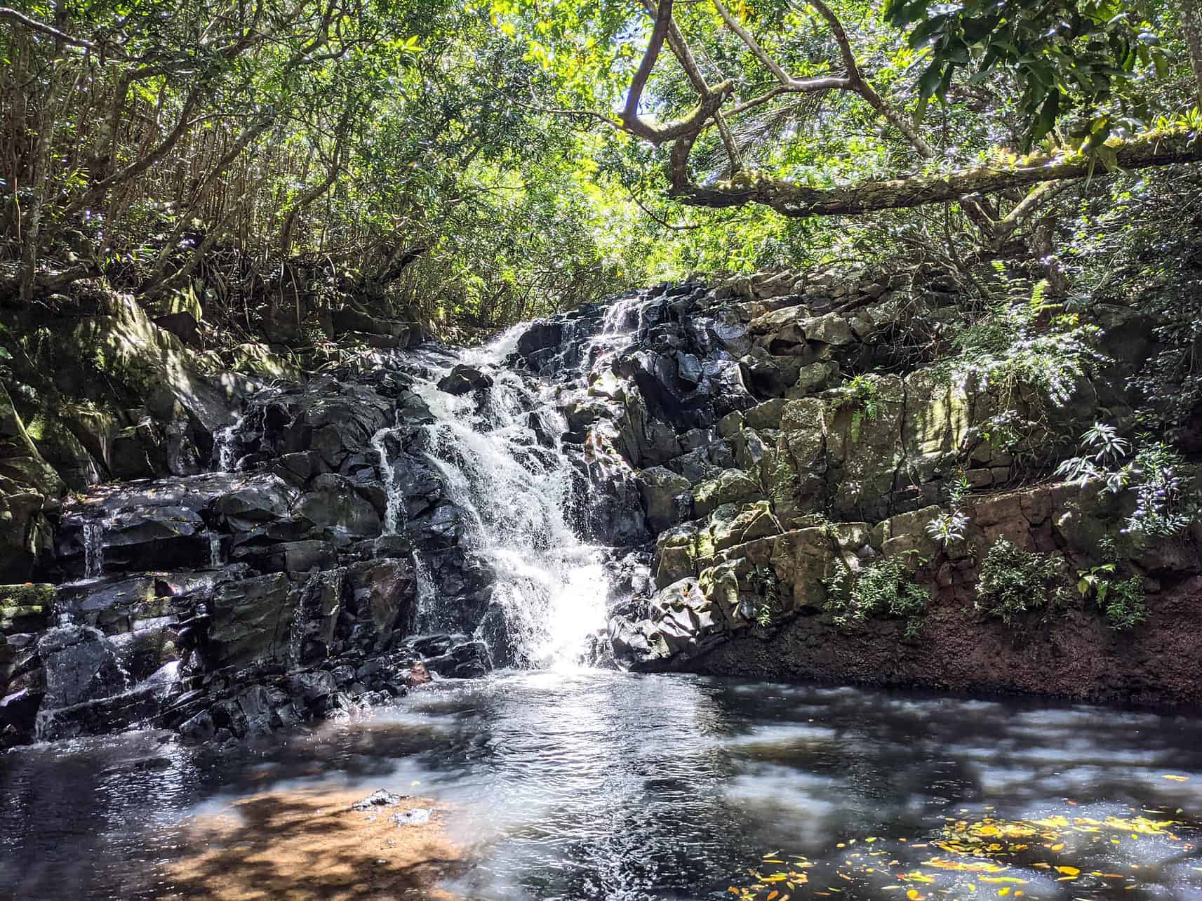 Waterfall in Heritage Reserve in Mauritius Waterfall in Heritage Reserve in Mauritius