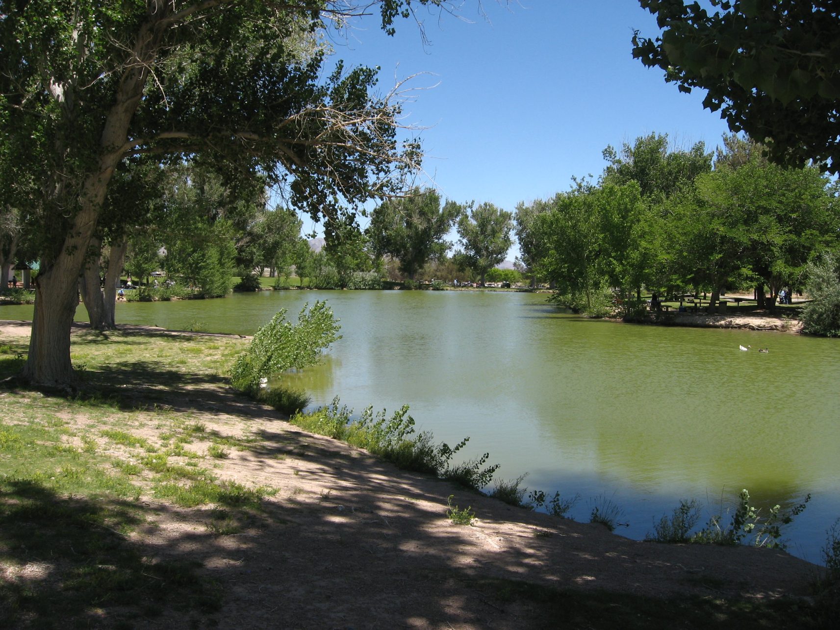 free things to do in las vegas - Free Things to Do in Las Vegas for Unforgettable Experiences Floyd Lamb Park at Tule Springs. Photo by Ken Lund - flickr