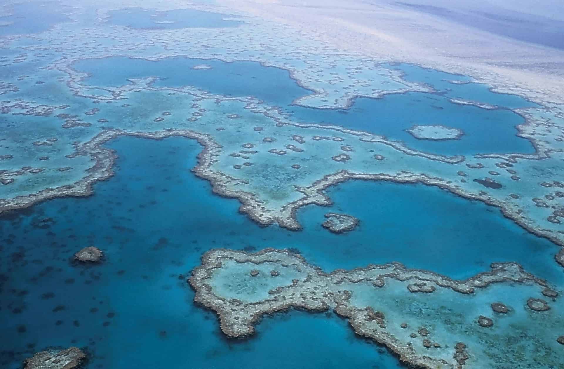 australian wine - Down Under and Uncorked: Exploring Australian Wine and Travel Treasures Great Barrier Reef in at the East coast of Australia.
