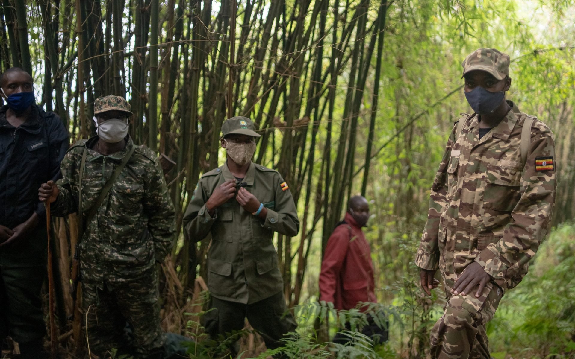 Mgahinga National Park - How to Go Gorilla Trekking in Mgahinga National Park Guides and guards at the Gorilla Trekking in Mgahinga National Park in Uganda.