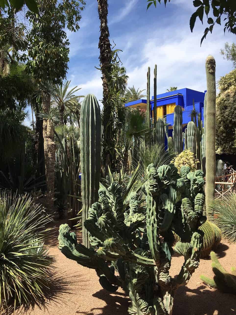 Discover Marrakech - Discover Marrakech: A Treasure Trove of Activities and Attractions Jardin Majorelle in Marrakech, Morocco.