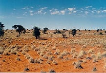 Kalahari in Botswana
