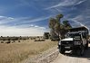 Kgalagadi Transfrontier Park safari