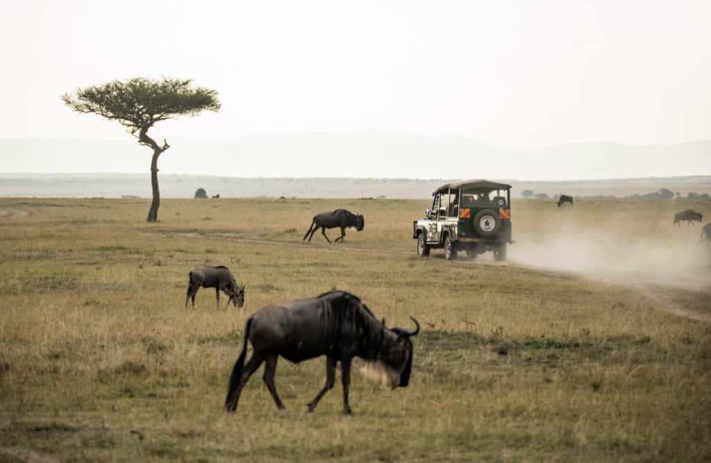 kenya evisa - Kenya eVisa: Everything you Need to Know Nairobi National Park, Kenya