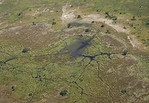 Landscapes in the Okavango Delta, Botswana