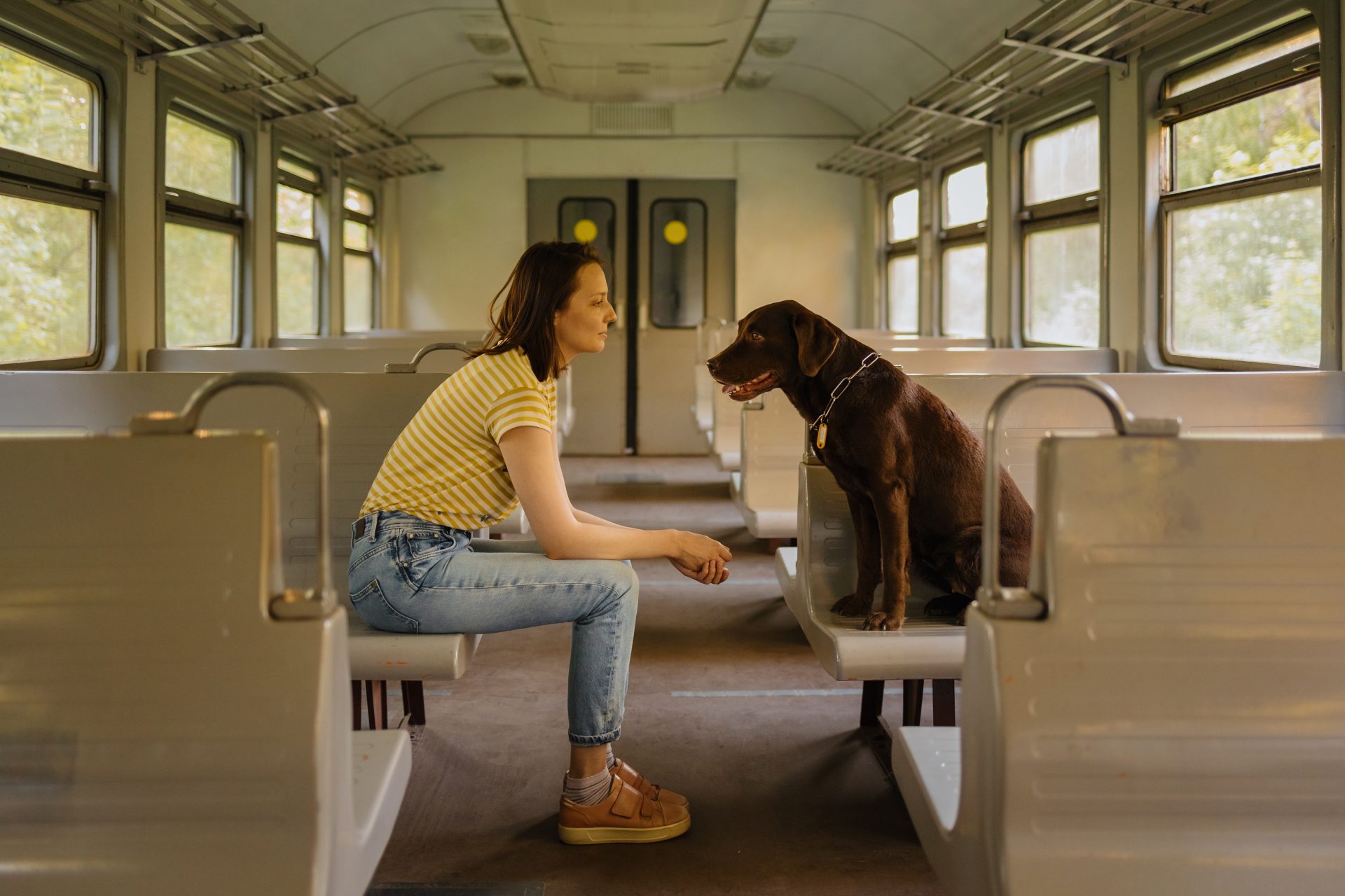 Psychiatric Service Dog - Travel Benefits of Having a Psychiatric Service Dog Psychiatric Service Dog on a train