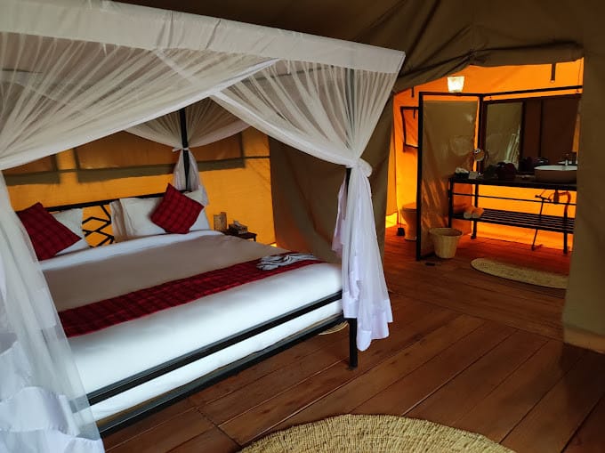 Best Time to Visit Serengeti National Park - Best Time to Visit Serengeti National Park Safari Lodge