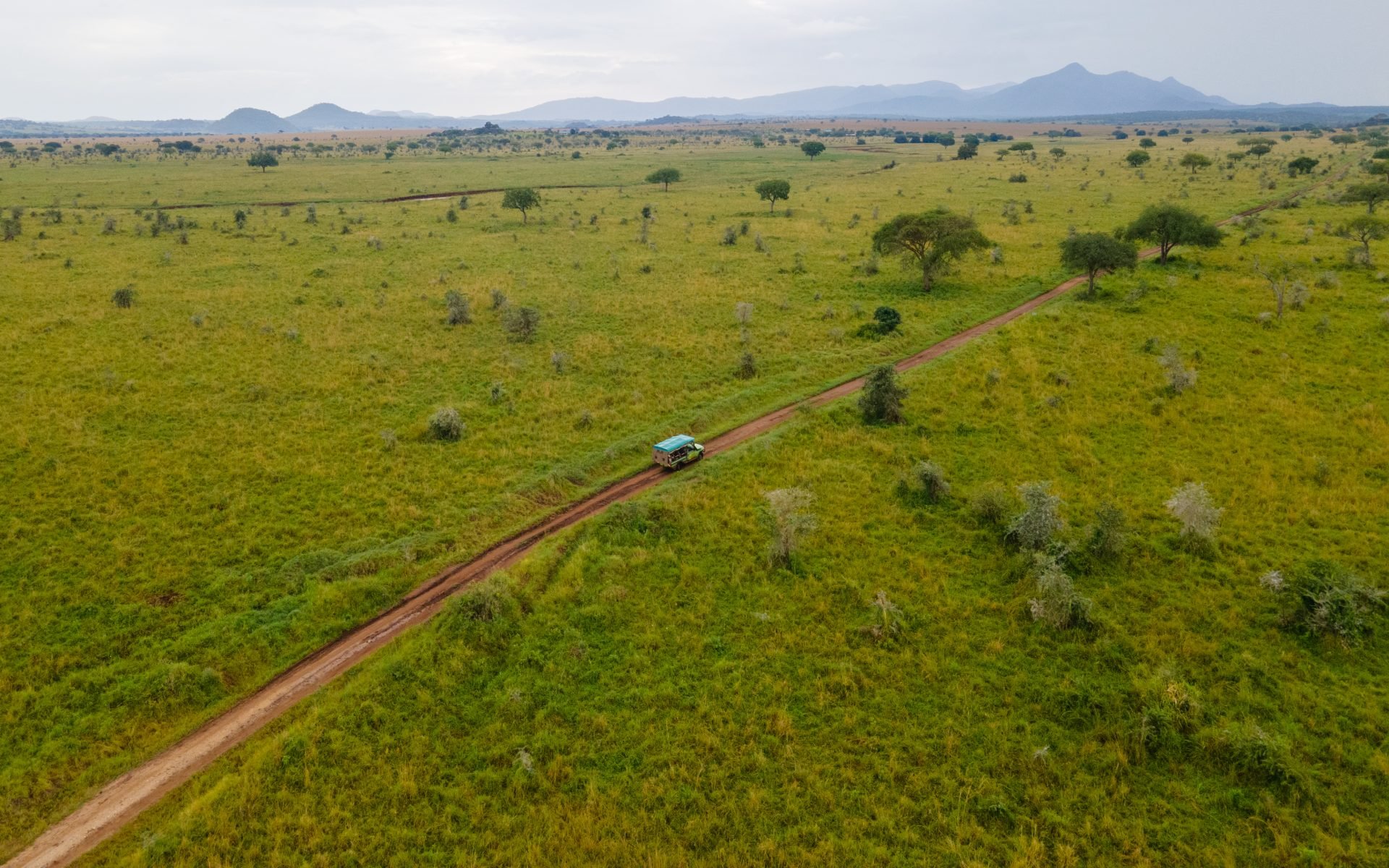 Kidepo Valley National Park - Attractions in Kidepo Valley National Park Safari track in the Kidepo Valley National Park, Uganda.