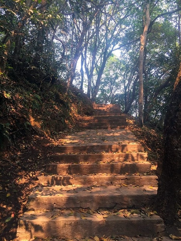 Shivapuri Day Hiking - Why is Shivapuri Day Hiking in Nepal so Popular? Shivapuri Day Hiking Trails through the forest.