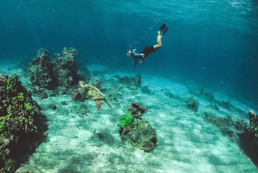 safe places for solo female travel - Safe Places for Solo Female Travel Snorkeling in Costa Rica - Best Spots