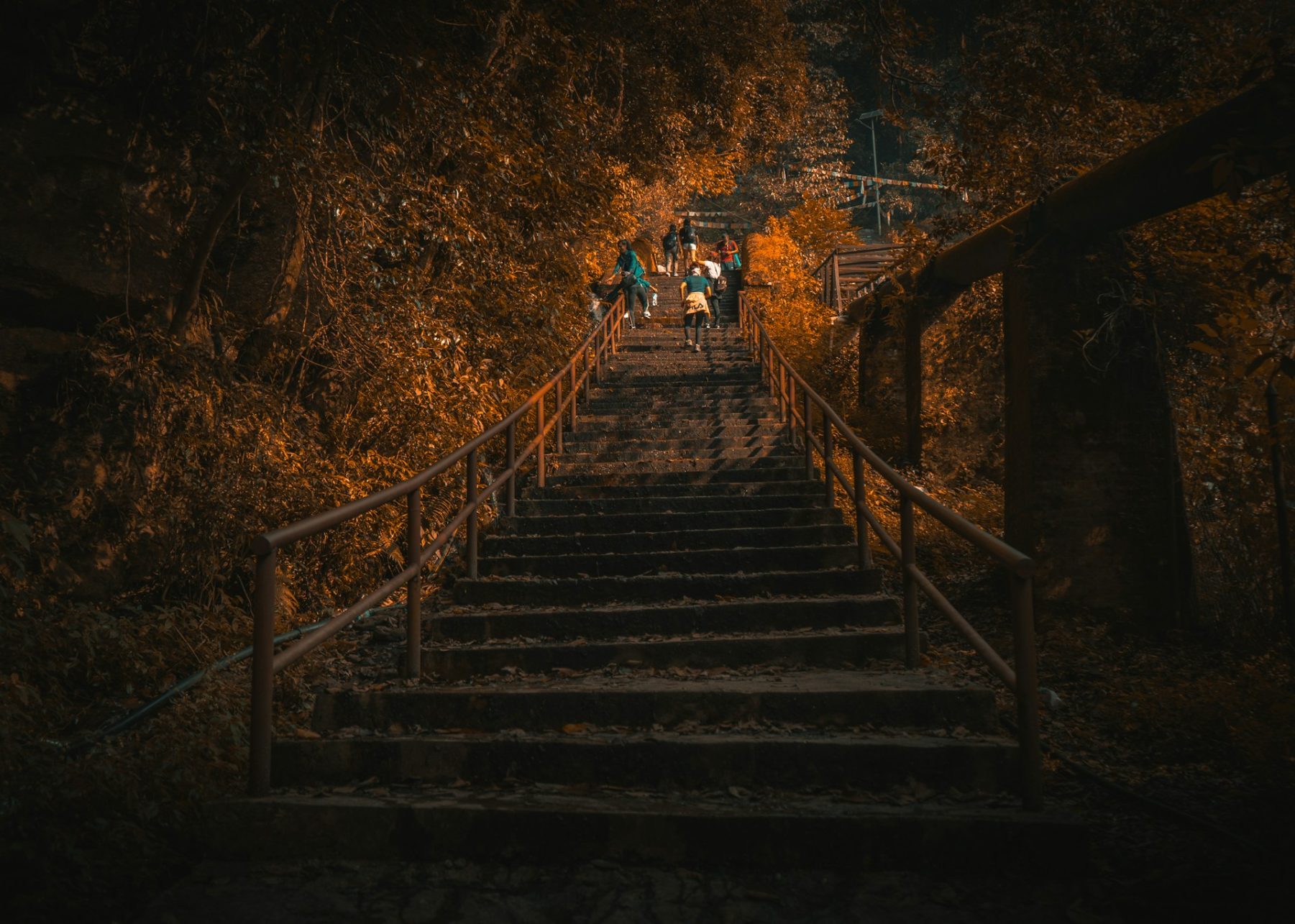 Shivapuri Day Hiking - Why is Shivapuri Day Hiking in Nepal so Popular? Stairs at the Shivapuri Nagarjun National Park, Nepal.