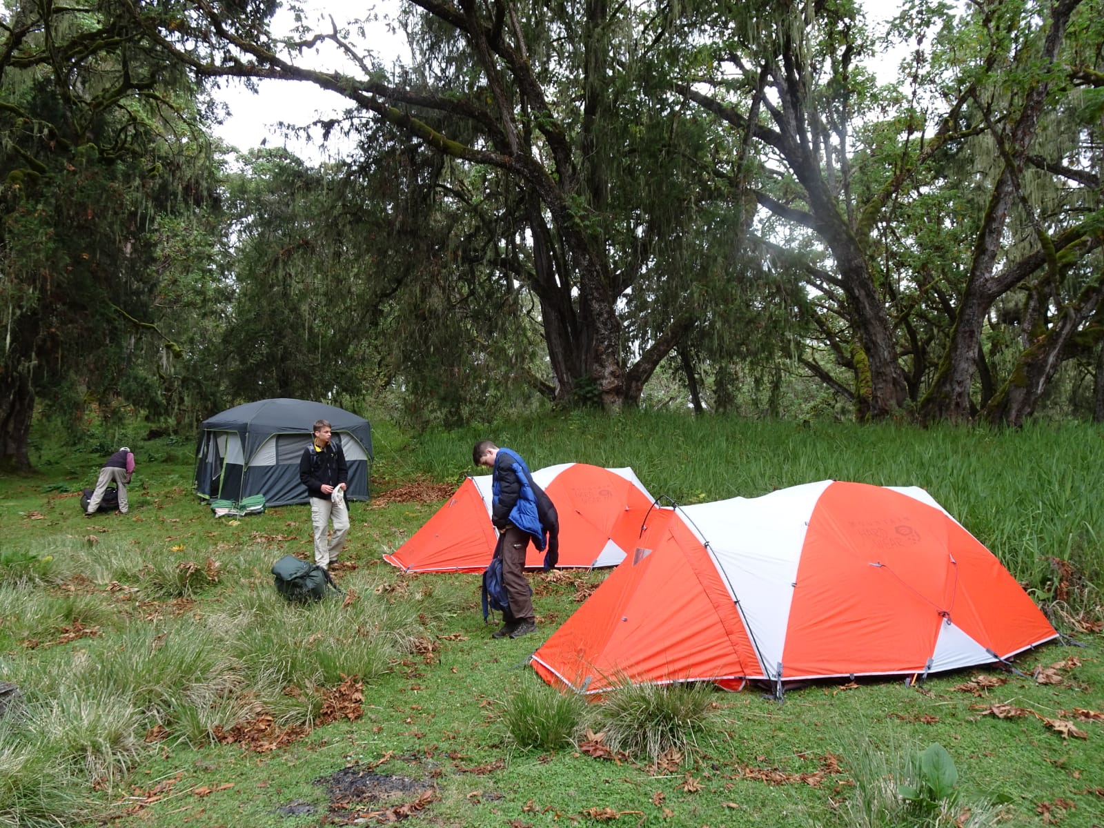 Mount Kenya - How to Trek to Point Lenana on Mount Kenya Tents when hiking Mount Kenya.