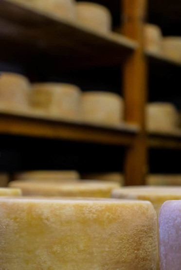 Tasting local cheeses at Bacciotti, Italy