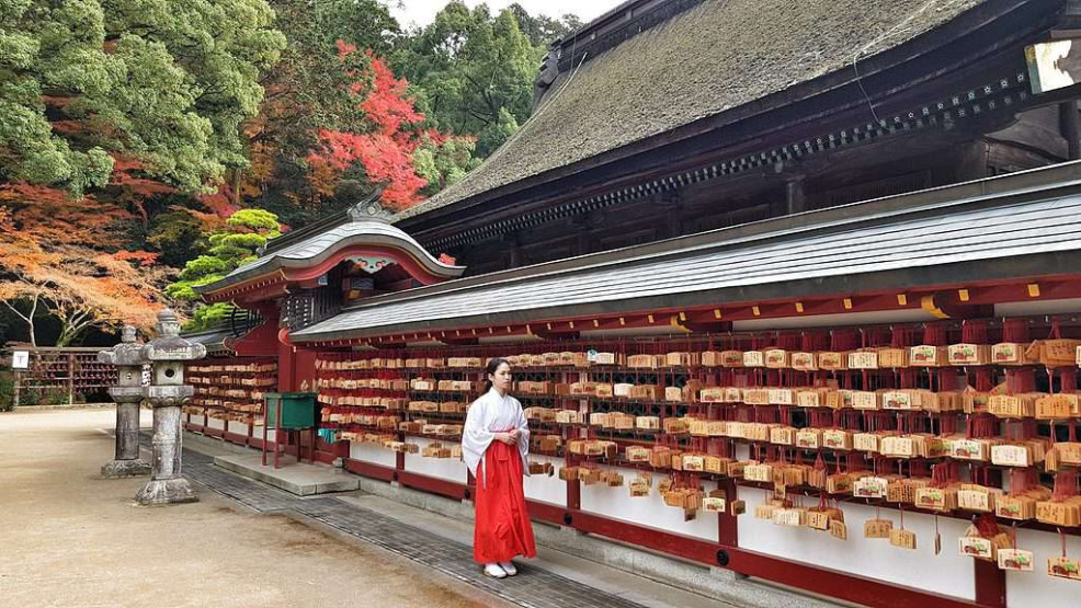 Wishes at Dazaifu Tenmangu