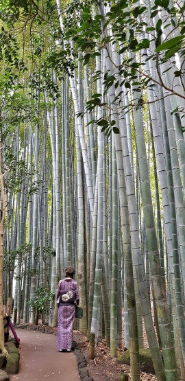 things to do in kanagawa - Exploring Around the Kanagawa Prefecture, Japan