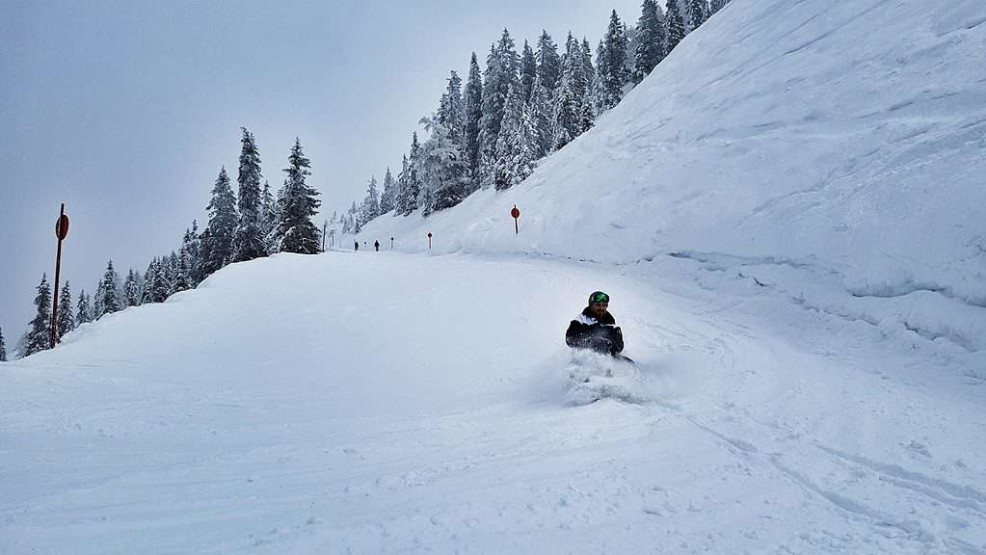 Tobogganing in Ski Juwel Austria