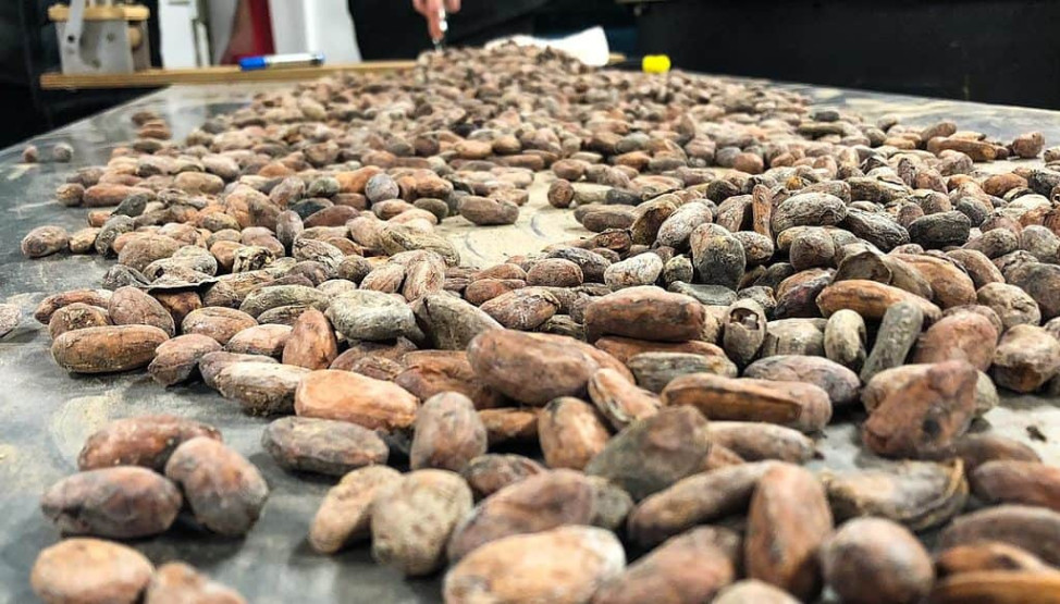Coffee beans at Legast Artisan Chocolatier