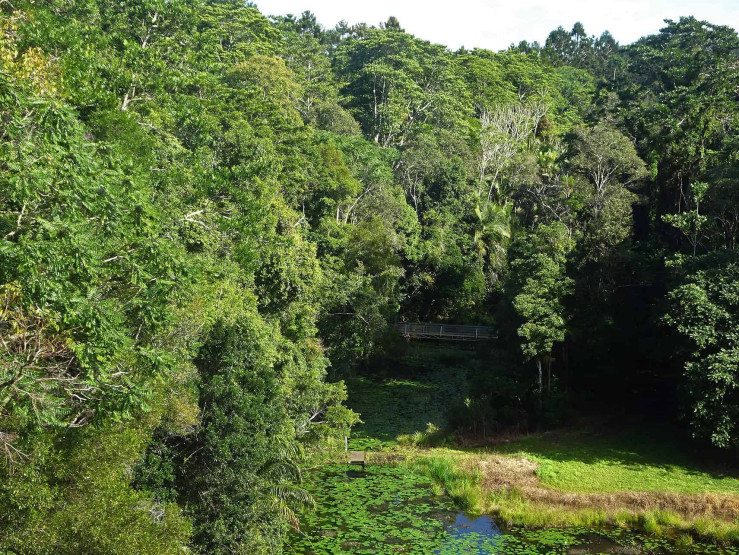Rocky Creek at the Nightcap National Park in Australia - Flickr denisbin