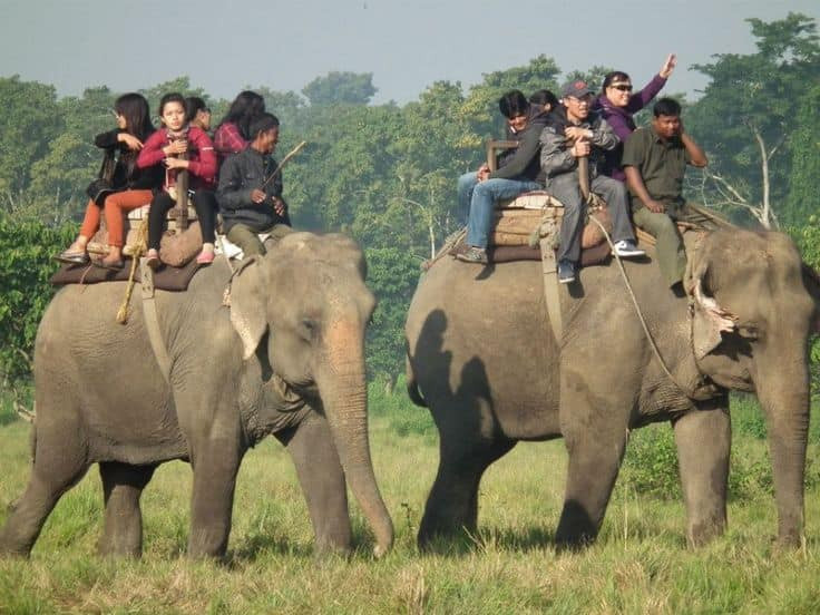 Jungle Safari - Chitwan, Nepal.