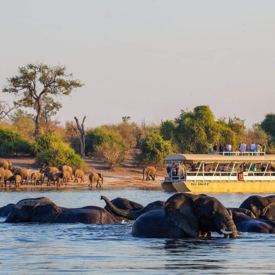 Day Trip to Chobe National Park - A Thrilling Day Trip to Chobe National Park, Botswana