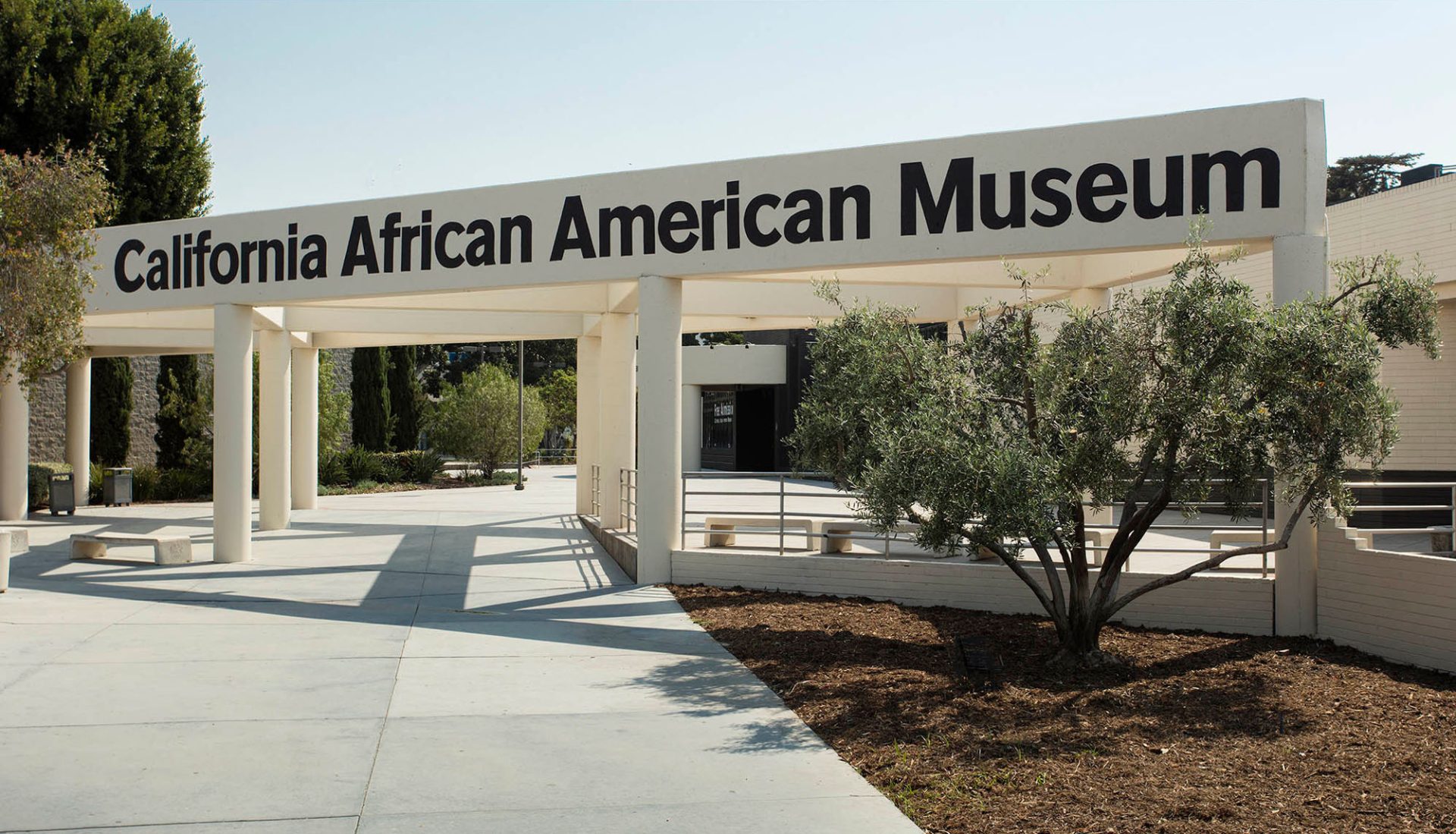 exploring south LA - Exploring South LA: A Vibrant Cultural Journey California African American Museum in South LA