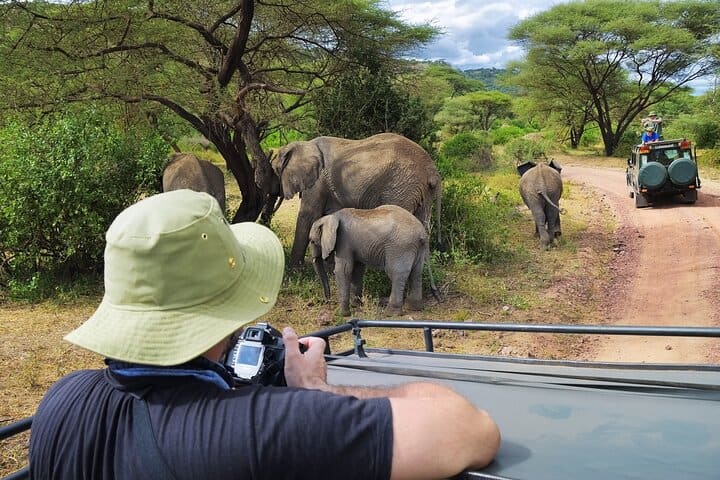 Best Time to Visit Serengeti National Park - Best Time to Visit Serengeti National Park Watching elephants during a safari tour in the Serengeti in Tanzania.