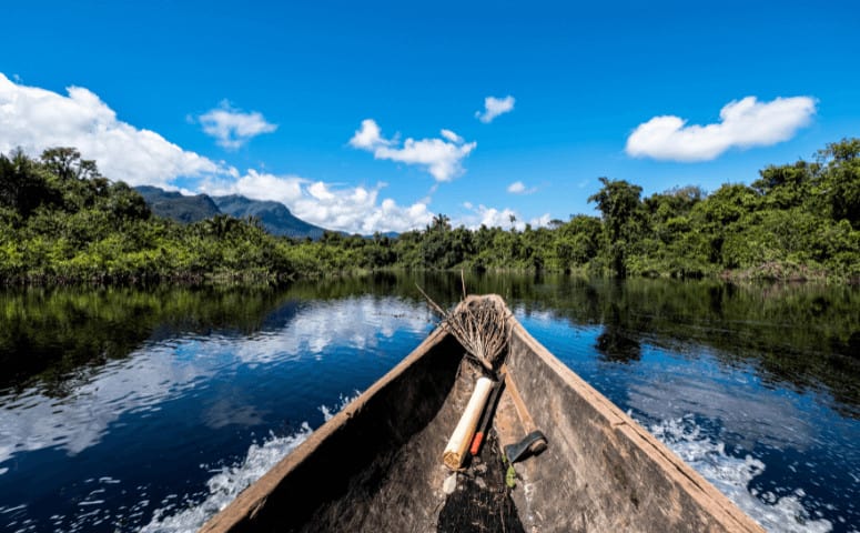Pink Dolphins in the Amazon - Where to See Pink Dolphins in the Amazon local boat on amazon river